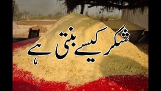How to Make Shakkar In Punjab Pakistan