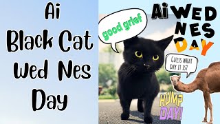 Ai Black Cat Wed Nes Day