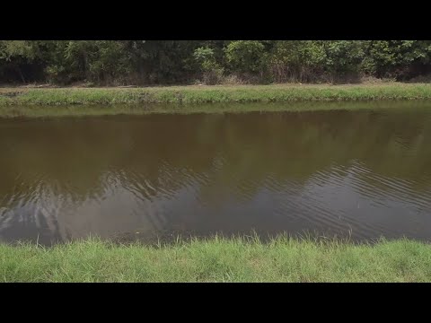 Missing man found dead in Louisiana canal, police investigate - YouTube