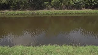 Famous Missing man found dead in Louisiana canal, police investigate Profile