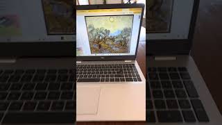 Van Gogh Optical Mixing 2