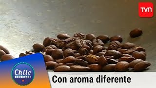 El puerto con aroma diferente | Chile conectado | Buenos días a todos