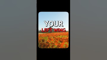 Your Left Wing 🗣️🔥