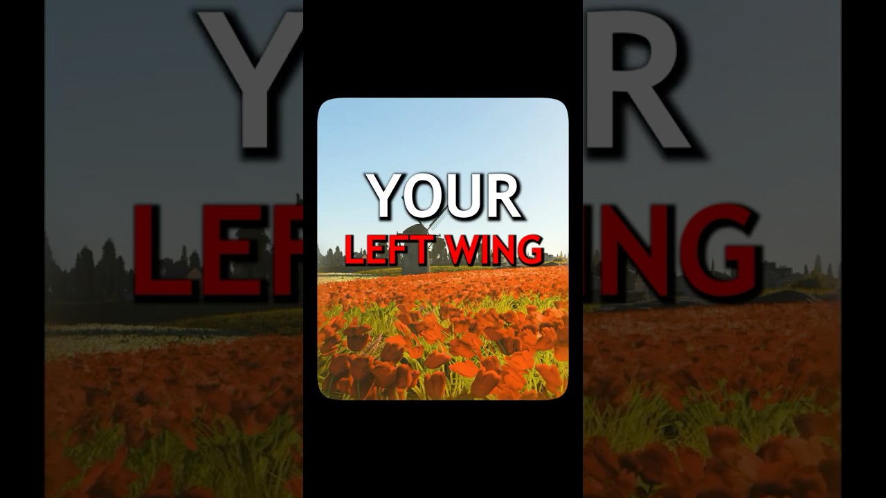 Your Left Wing 🗣️🔥