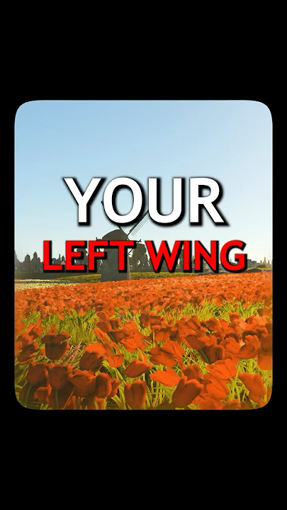 Your Left Wing 🗣️🔥