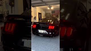 Antimatter Blue Shelby GT500 Start Up 🔊