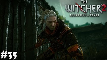 The Witcher 2 Assassin