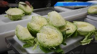 Vegetable Processing Line | Washing, Cutting and Drying Machine for Fresh Vegetables