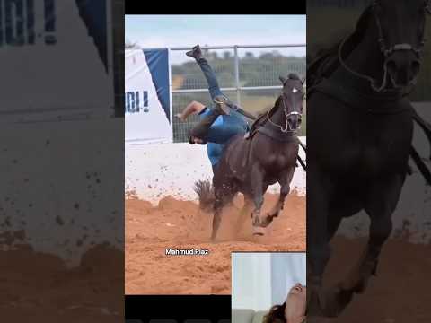 #horselov #automobile #sansansehorhorse #horsecare #يوميات_ترند #funny #horselove #love #horseriding