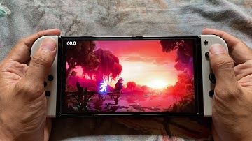 Ori and the Will of the Wisps - Nintendo Switch 60 fps