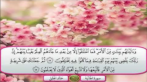 سورة الجاثية الشيخ خالد الجليل تلاوة خاشعة مكتوبة جودة عالية جدا