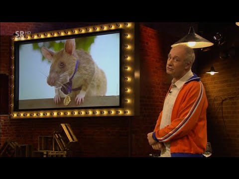 Alfons: Magawa the Super Sniffer