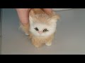 Gato bonito Lifelike Simulação Miaow Kitty Recheado de Brinquedo De Pelúcia Decoração Da Mesa