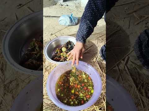 أن بعد الصبر جبر