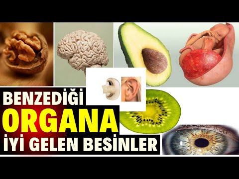 Şifa verdiği organa benziyor ! | Nahl Suresi meali