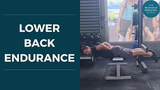 Lower back endurance and the biering sorensen test | The MSK Physio