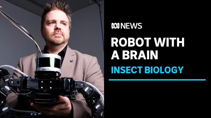 Scientists delve into insect biology to build robots with a brain | ABC News