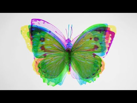 VAMA - Epidemie de iubire
