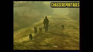 Chasse,😄best of chasse à la campagne (vol 1)😄
