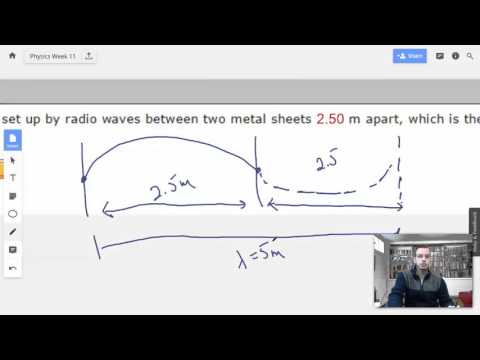 Week 11 Problem 5