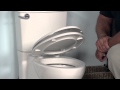 Toilets: Cadet 3 Concealed Trapway Toilet by American Standard