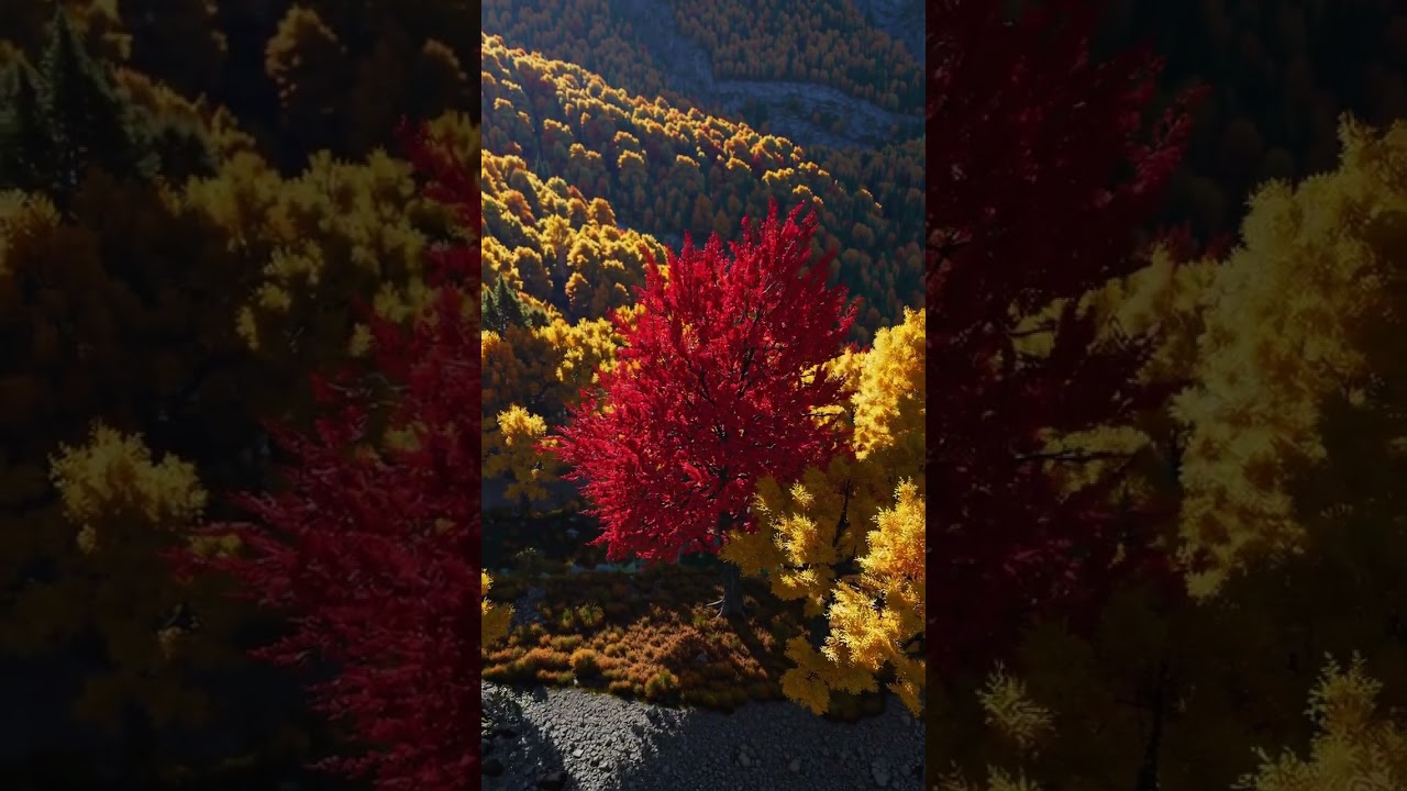 Fall Autumn Relaxation Sounds + Music