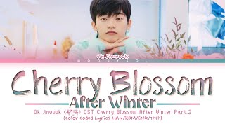 Ok Jinwook (옥진욱) - Cherry Blossom After Winter OST Cherry Blossom After Winter Lyrics HAN/ROM/ENG