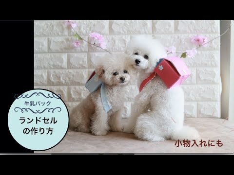 簡単15分 ピカピカの1年生 牛乳パックで愛犬用ミニランドセル風の小物入れをエコに手作り Youtube