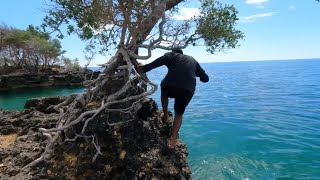 ROCK FISHING ARU - A fishing technique that requires strong skills and stamina.