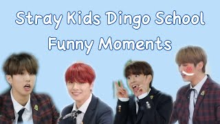 Stray Kids Dingo School Funny Moments [indo]