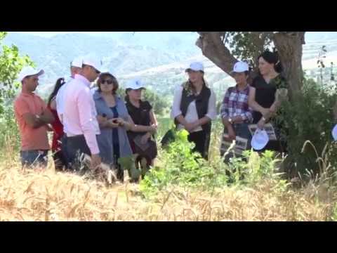 ახალციხეში, საკვებწარმოებაში,  მეკარტოფილეობასა და მცენარეთა დაცვაში ტრენენგთა ტრენინგები იწყება