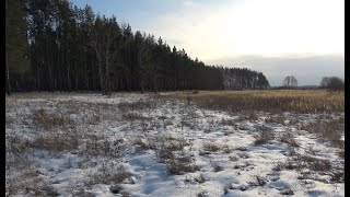 Эдгар Туниянц. Прикосновение к родному.  Музыка для души. Edgar Tuneyants. Touching the native.