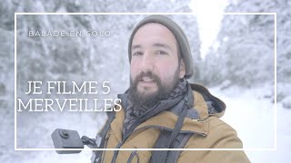 Photo animalière sous la neige - Je filme 5 merveilles