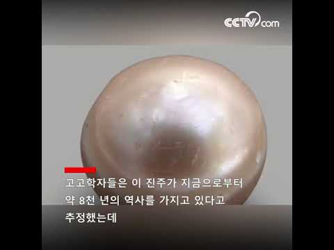 <strong>아랍</strong> 에미리트서 8천년의 역사를 가진 &amp;#39;세계에서 가장 오래된” 진주 발견 | CCTV 한국어방송