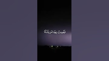 القارئ: سعيد الخطيب.                                 ما تيسر من سورة الرعد