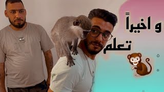 طالعنا القرد برا القفص ما تخيلنا النتيجة ؟؟ 🙈😂😂