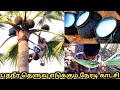 Juice of toddy palm, palmyra palm juice alcohol பதநீர் (தெளுவு) மற்றும் கள்ளு எடுக்கும் நேரடி காட்சி