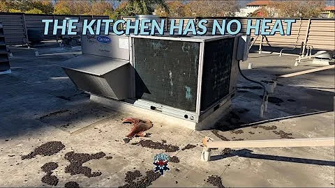 THE KITCHEN HAS NO HEAT