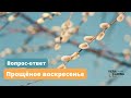 Прощёное воскресенье || Вопрос - ответ