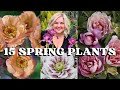 15 perennials for spring blooms  early season color