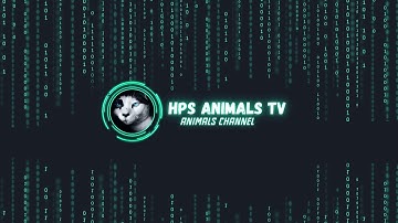 HPS ANIMAL TV || intro video