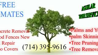 AGUILAR TREE SERVICE