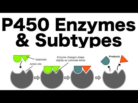 Video: Bruger sulfonamider cyp450-enzymsystemet?