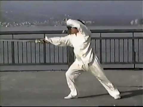 Fu Style Wudang Fist: Seven Star Sword