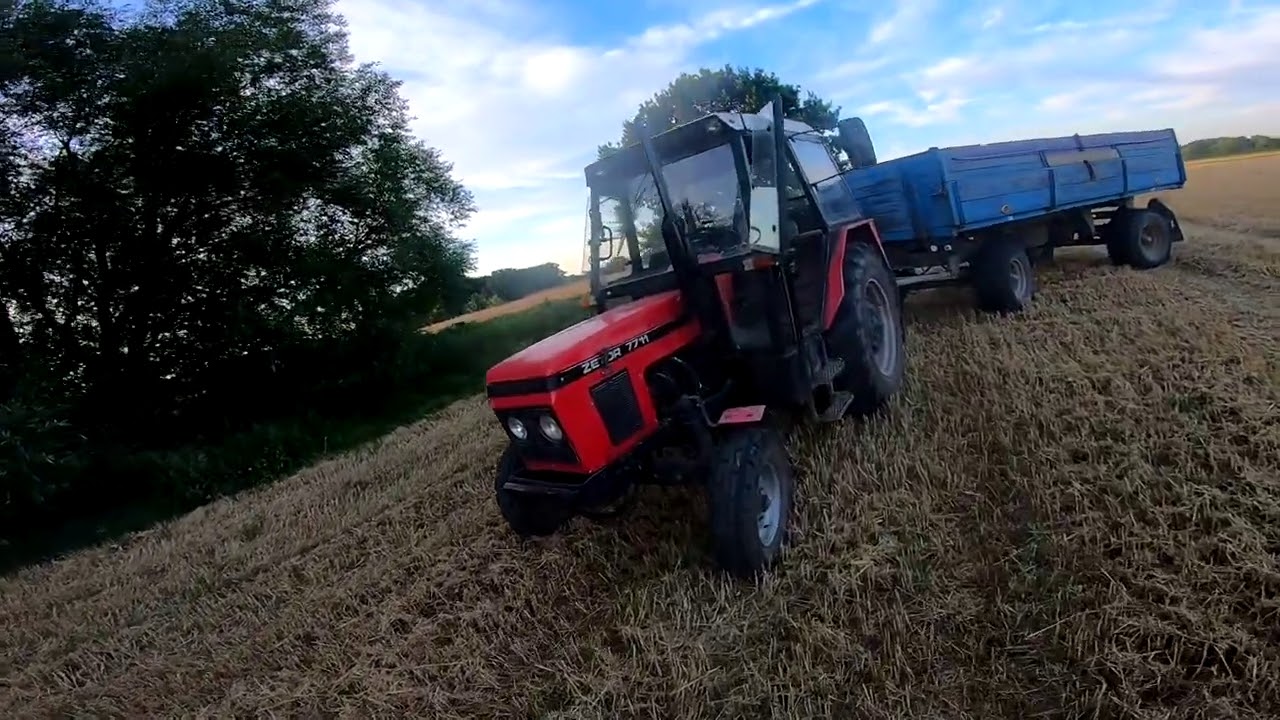 AGRO VLOG #11//ZETOR 7711//ODVOZ PŠENICE//