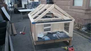 chicken coop building