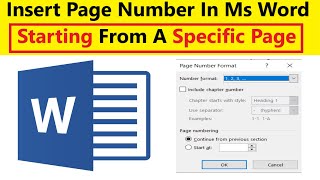 How to add page number in word |Page number word