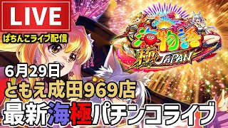 ノッチ配信者パチンコライブの配信のサムネイル画像