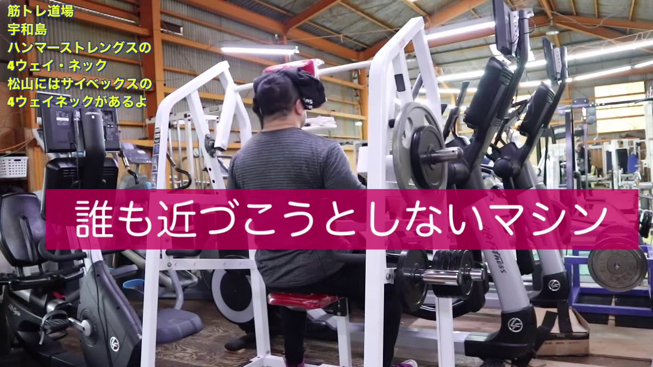 HAMMER STRENGTH/プレートロード・4ウェイ・ネック HAMMER STRENGTH/プレートロード・4ウェイ・ネック Plate Loaded 4-Way