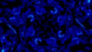 Dark Blue Gradient Misty Flower Cloud Bursting Animation